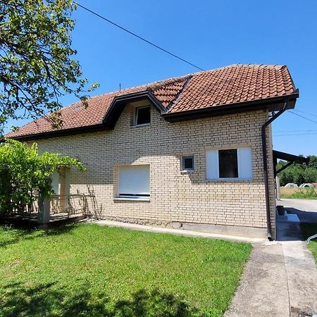 Apartman Progresso Valjevo Ngoại thất bức ảnh